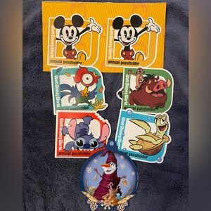 Disney Annual Passholder Magnet Set